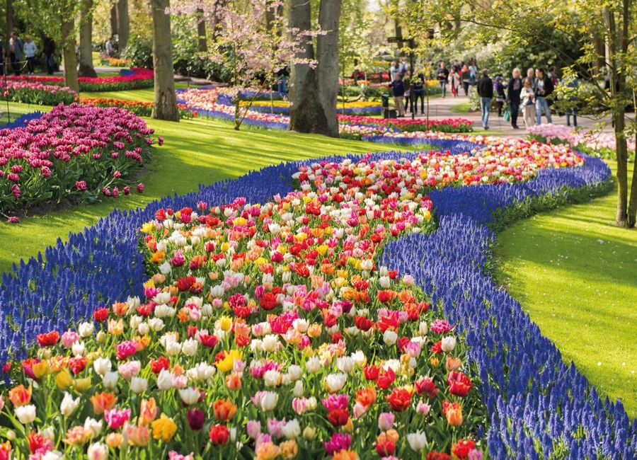 Du lịch Châu Âu mùa xuân dể ngắm sắc hoa sặc sỡ