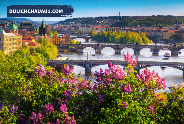 Prague vào mùa xuân và những cung đường đầy hoa nở rộ